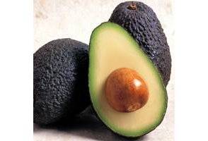 Congeler l'avocat