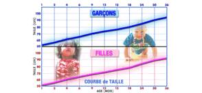 La courbe de croissance du nourrisson