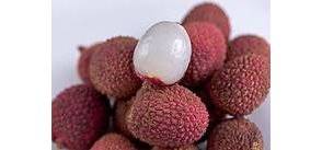 Congeler les litchis