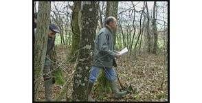 Le métier d'agent technique forestier