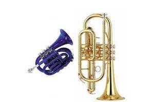 L'apprentissage parfait de la trompette