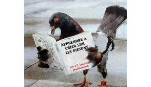 Se débarrasser des pigeons