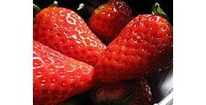 Congeler les fraises