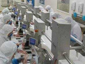 Le poulet industriel, un aliment nocif pour la santé ?