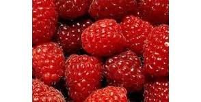 Congeler la framboise