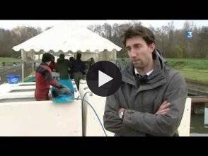 Vidéo: Le premier producteur de caviar français est en Charente-Maritime
