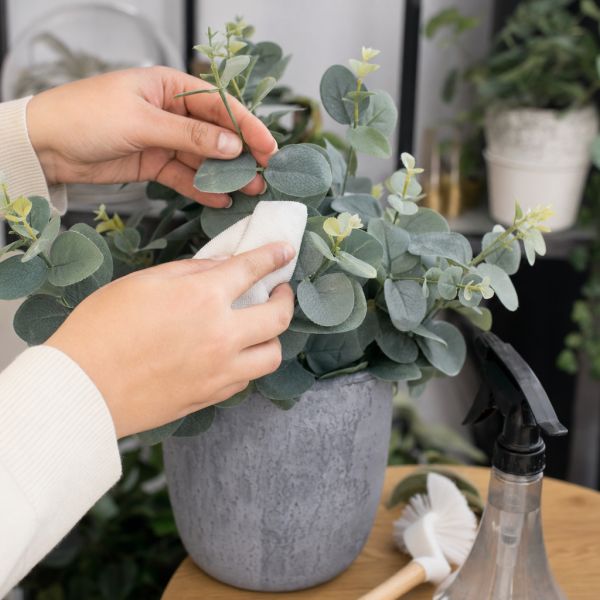 Entretenir une plante artificielle