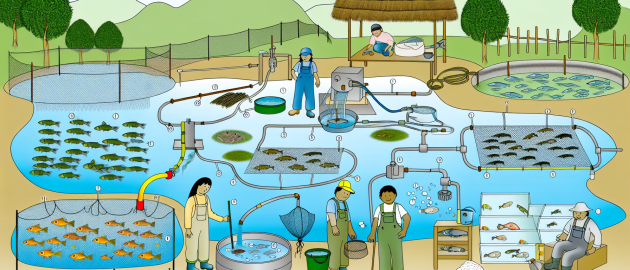 Le métier de pisciculteur