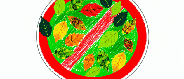 Le cannabis et ses dangers